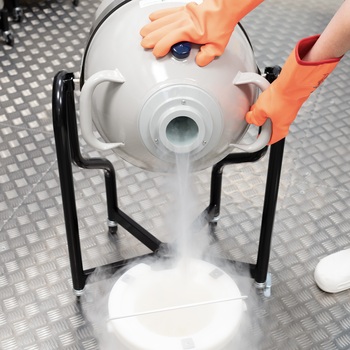 Egg Freezing Fertility Procedure
